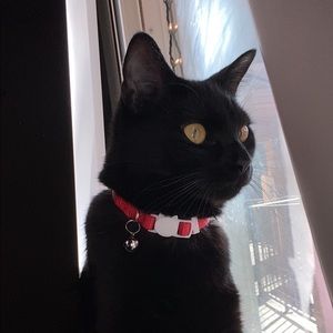 Meet your Posher, Patricia